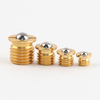 VCN413-B Corrosion-Resistant Brass Ball Plunger