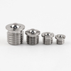VCN413-SS Stainless Steel Ball Plunger