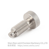 VCN230-BN Stainless Steel Return Type Spring Loaded Plunger