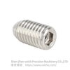 VCN327-BM Stainless Steel Threaded Type Roller Ball with Spring