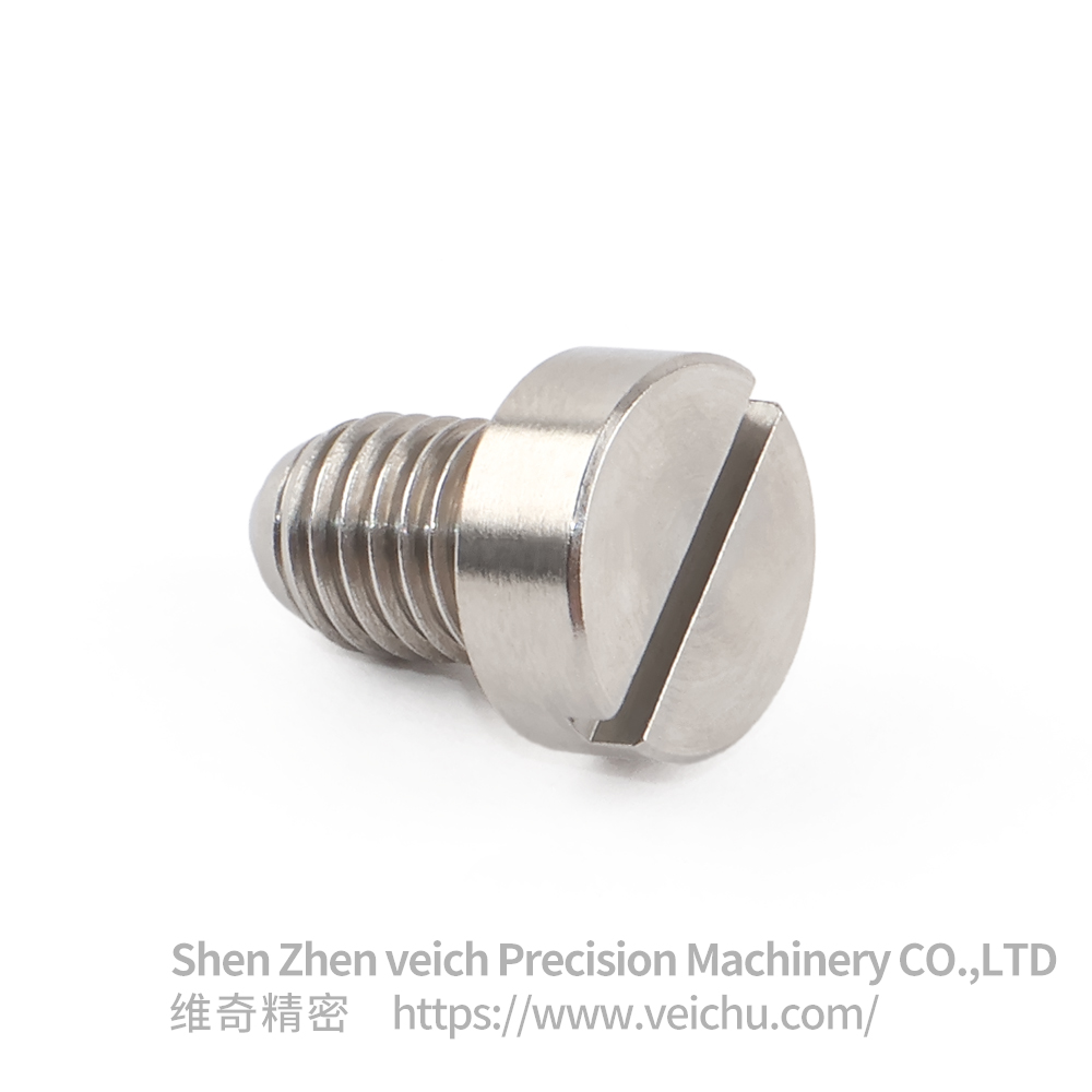 VCN417-SS Stainless Steel Ball Plunger with Single Slot